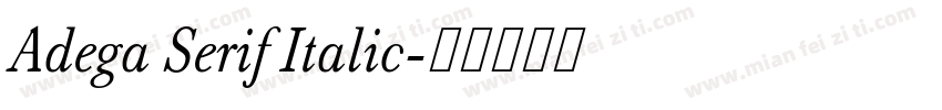 Adega Serif Italic字体转换